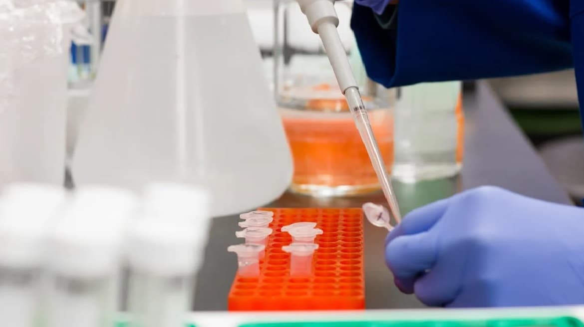 Exámenes de Laboratorio Veterinarios