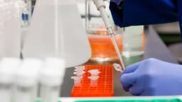 Exámenes de Laboratorio Veterinarios